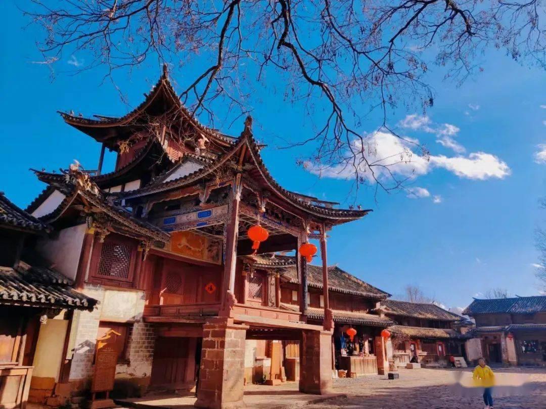 逃离未知丛林